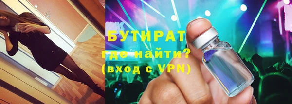 гашик Алексин