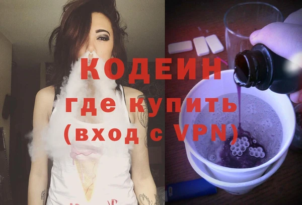 гашик Алексин