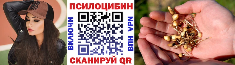 Галлюциногенные грибы Psilocybine cubensis  ОМГ ОМГ как войти  Киржач 